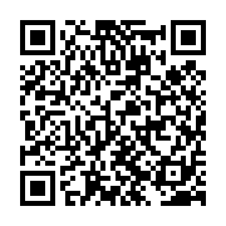 QR code for DZY411