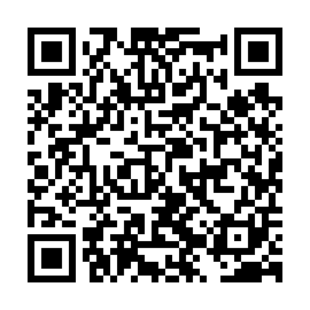 QR code for DZY601