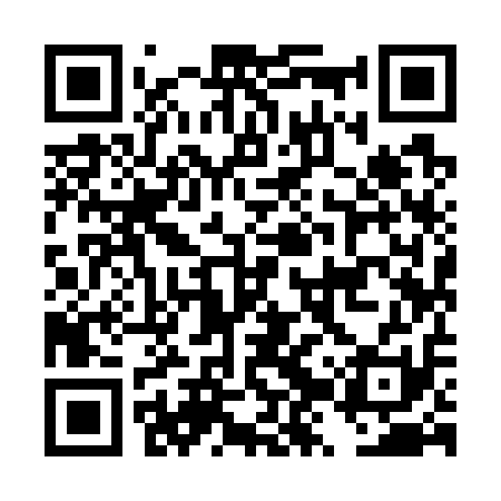 QR code for DZY711
