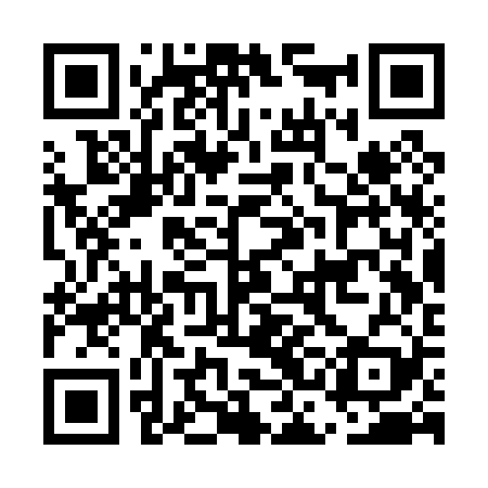 QR code for ECCP29