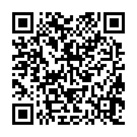 QR code for ECG386