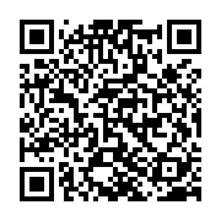 QR code for EHMM29