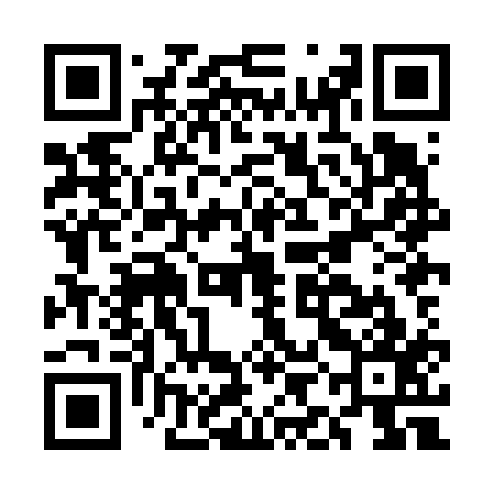 QR code for EIHF17