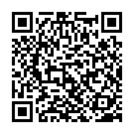 QR code for EIRS29