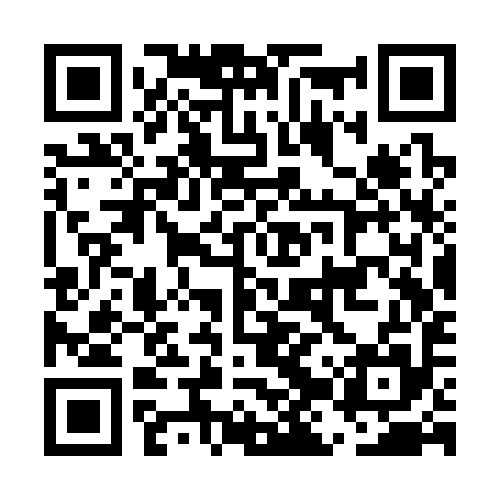QR code for EJSS95