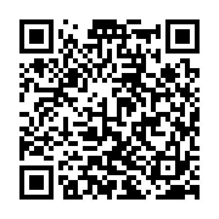 QR code for ELI333