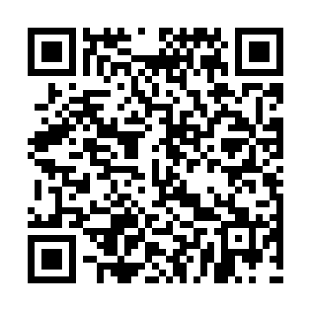 QR code for ELUM21