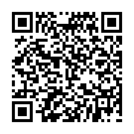 QR code for ELUR33