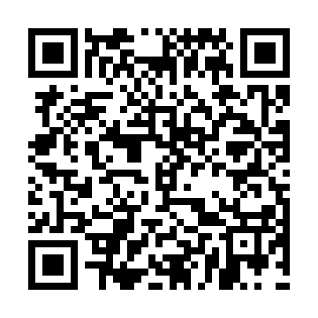 QR code for ELUS17