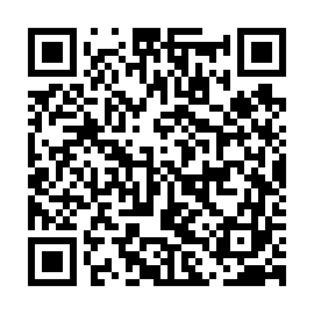QR code for ELVV63