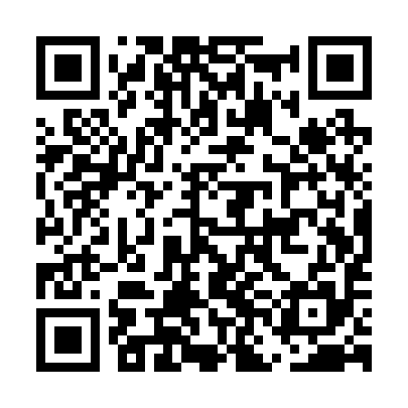 QR code for ENAR95