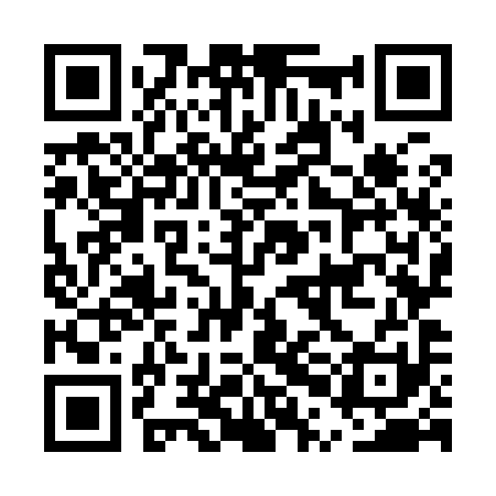QR code for EPO991