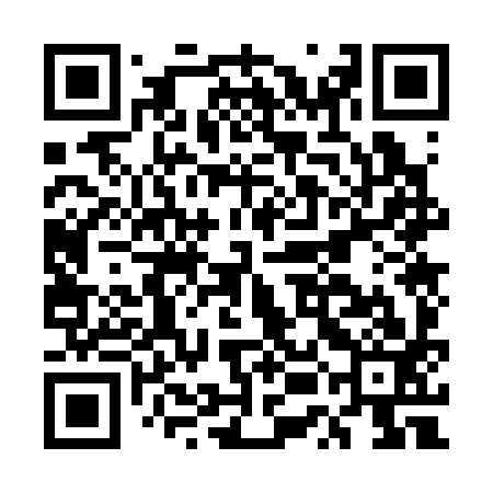 QR code for EUO393