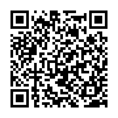 QR code for FAG384