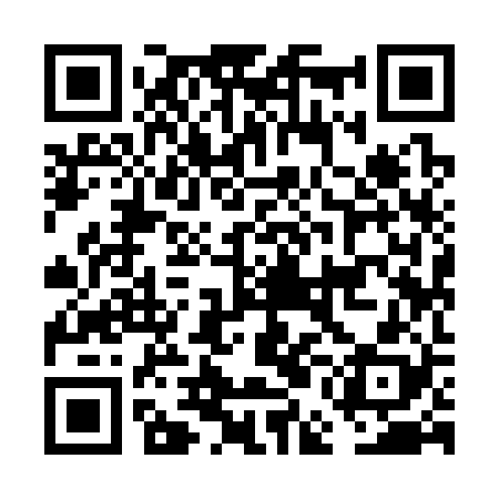 QR code for FEI328