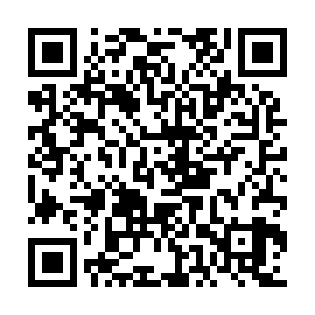 QR code for FETI29