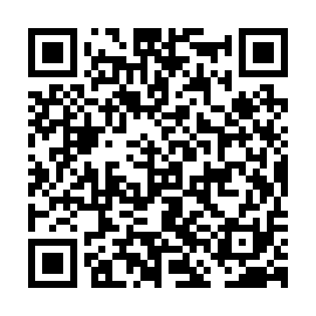 QR code for FFIR11