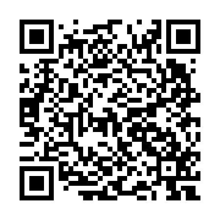QR code for FFSF17