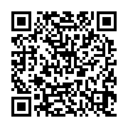 QR code for FGV333