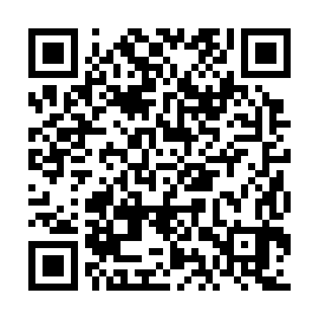 QR code for FIR383