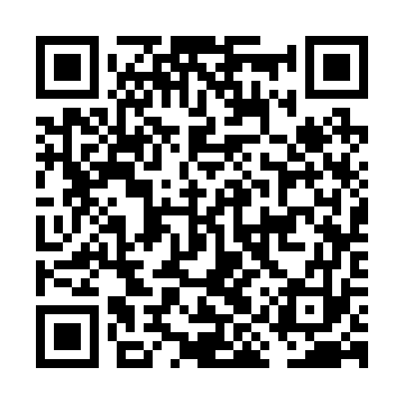 QR code for FIS273