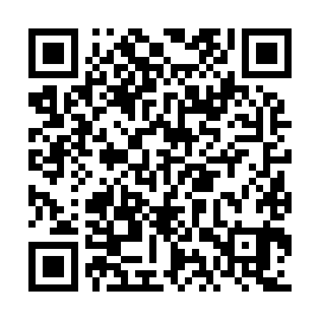 QR code for FIV981