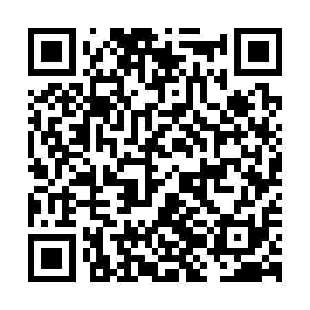 QR code for FJG311