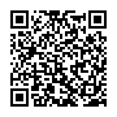 QR code for FJV333