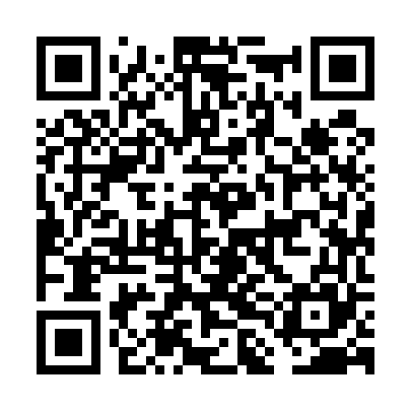QR code for FLI565