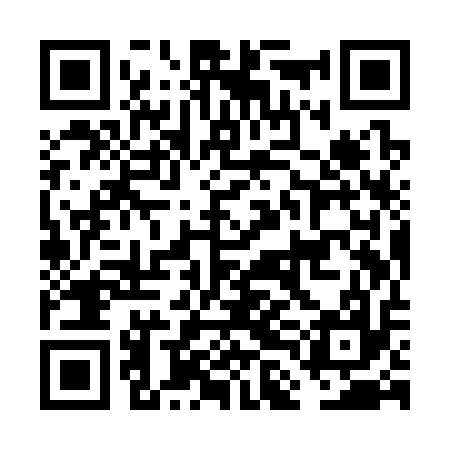 QR code for FLIS17