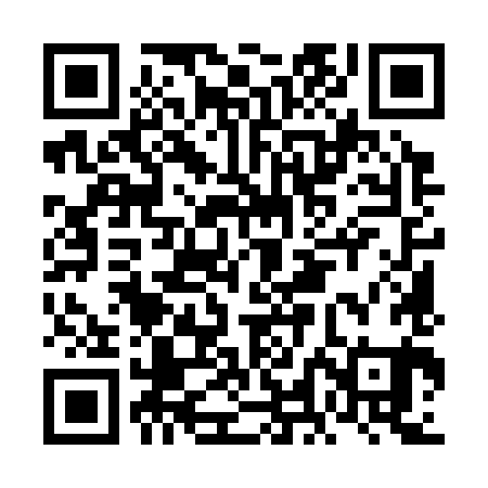 QR code for FLM381