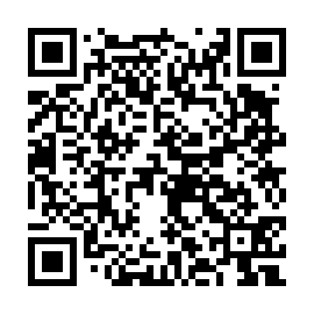QR code for FLS431