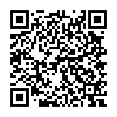 QR code for FLU011