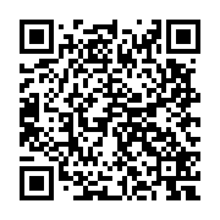 QR code for FLUE29