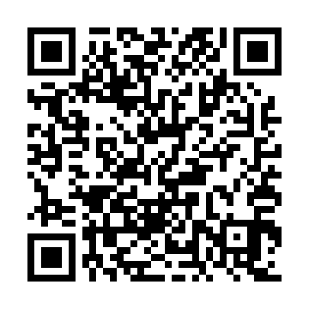 QR code for FLUP11