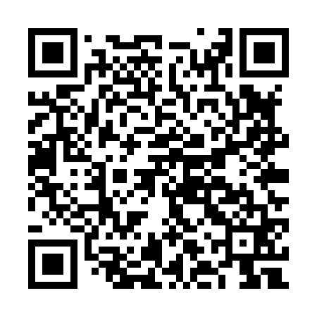 QR code for FLUX61