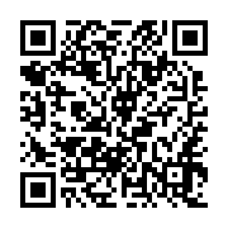 QR code for FLYR56