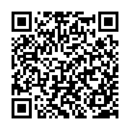 QR code for FMS384