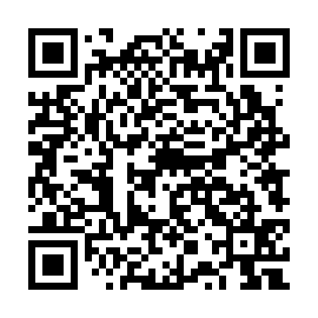 QR code for FPT335