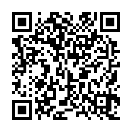 QR code for FPY335