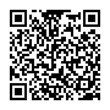 QR code for FSE591