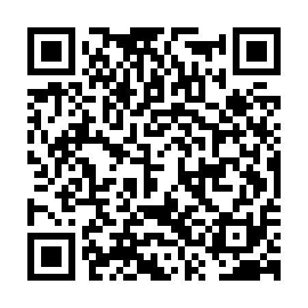QR code for FSEJ11