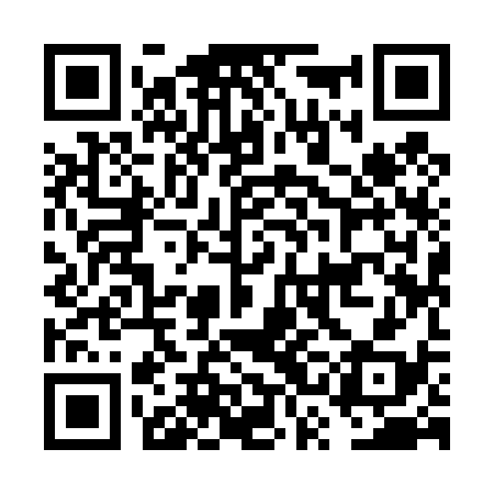 QR code for FSI438