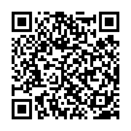 QR code for FSPV31