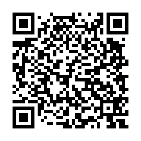 QR code for FST419