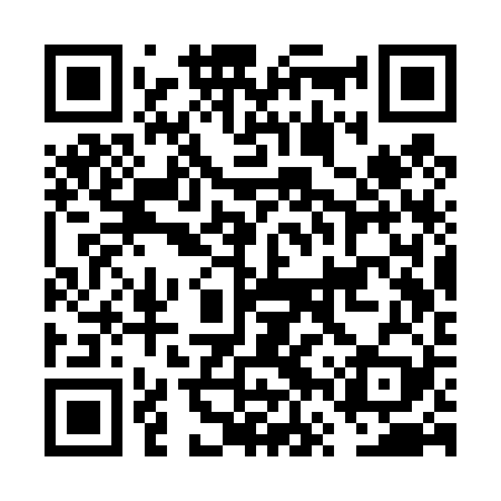 QR code for FVST29