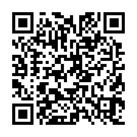 QR code for FYS341