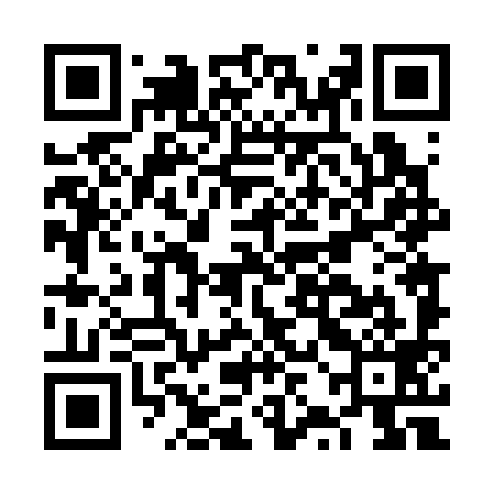 QR code for FZD399