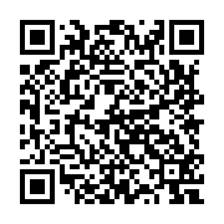 QR code for FZM913