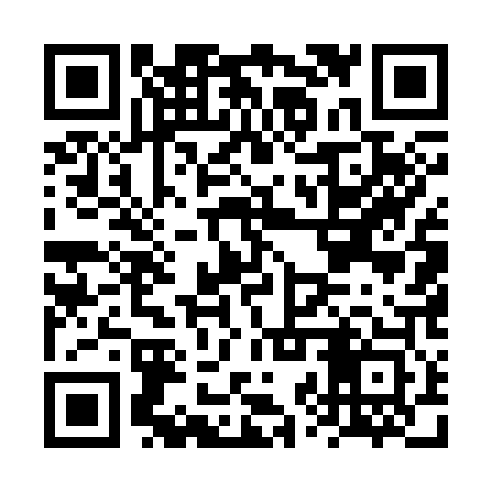 QR code for FZU303